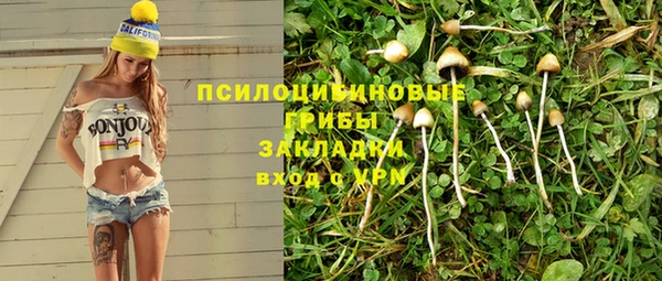 метадон Богданович