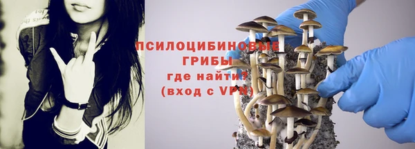 2c-b Богородицк