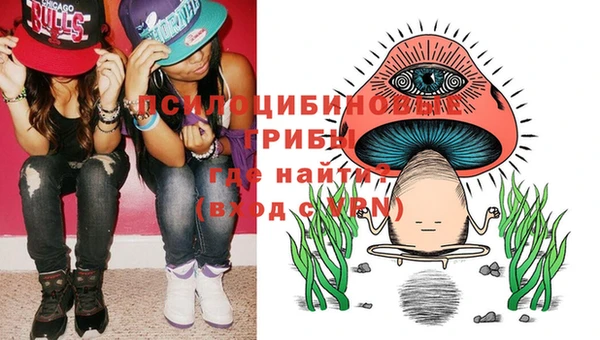 метадон Богданович