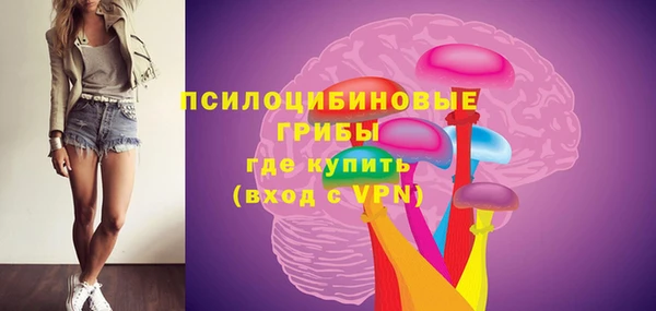 2c-b Богородицк