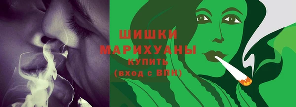 метадон Богданович