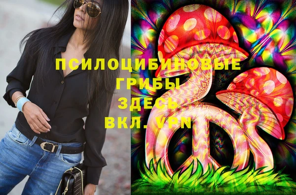 метадон Богданович