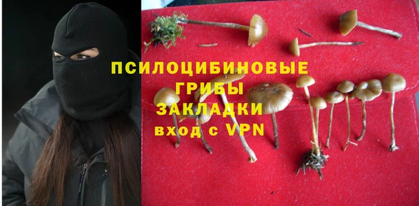 метадон Богданович