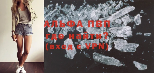 метадон Богданович
