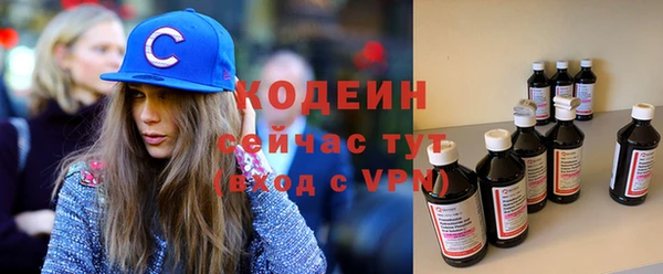 метадон Богданович