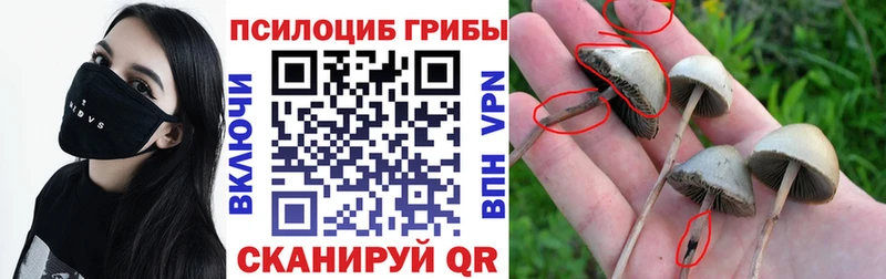 Галлюциногенные грибы мицелий  ссылка на мегу ONION  Коркино 