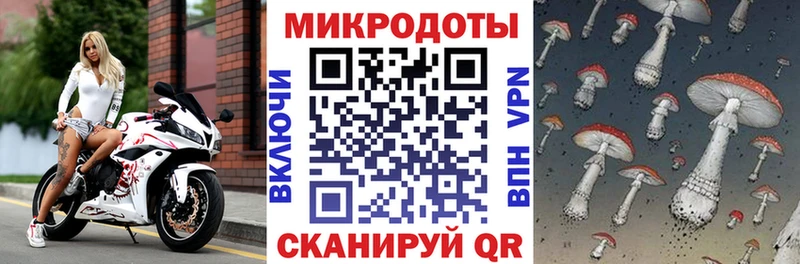 Галлюциногенные грибы Cubensis Коркино